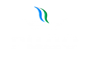 &nbsp;